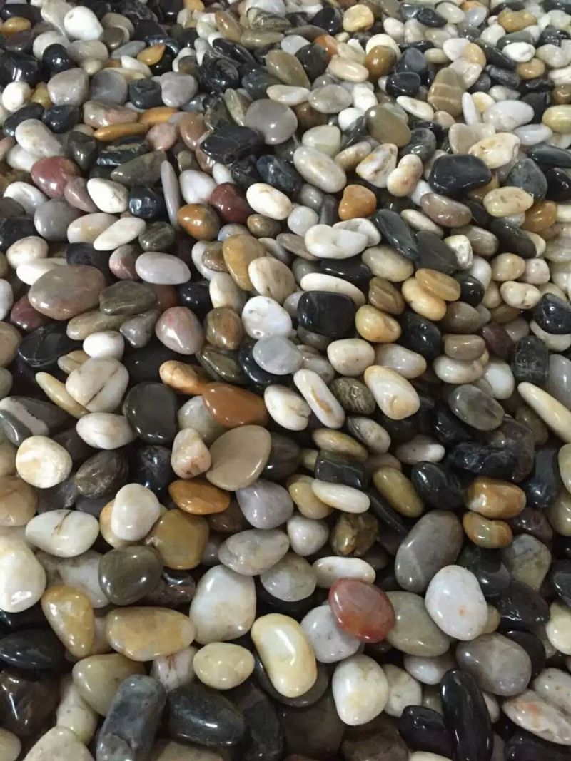 抛光五彩鹅卵石 抛光五彩鹅卵石