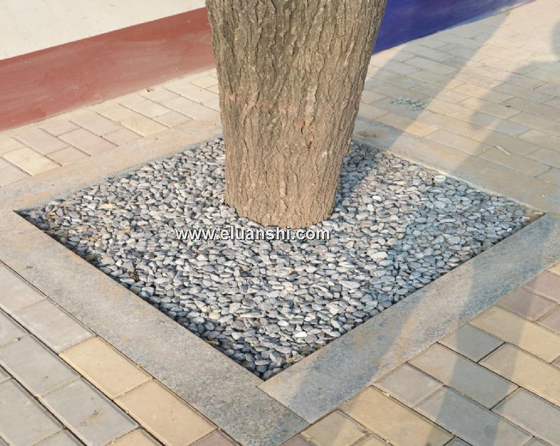城市人行道树坑砾石灰砾石卵石